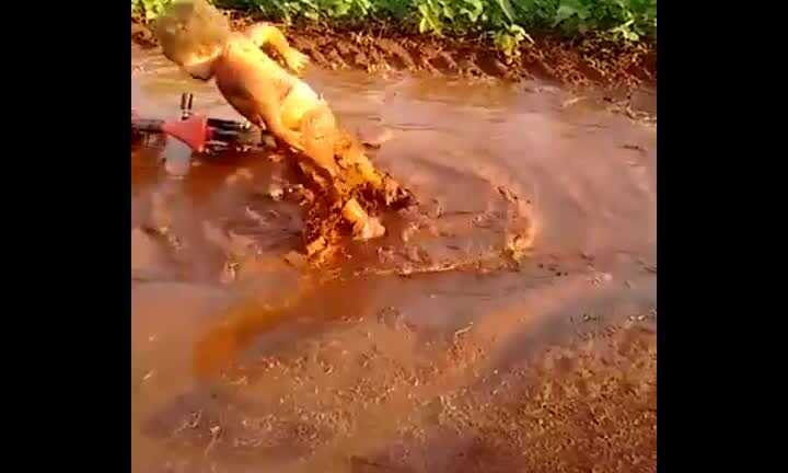 Em bé cười khanh khách khi ngã vào vũng lầy