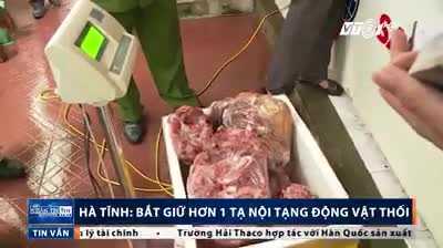 Bắt giữ hơn 1 tạ nội tạng động vật thối chuẩn bị ra chợ Tết