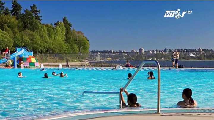 Nghiên cứu mới: Bể bơi công cộng chứa tới... 75 lít nước tiểu