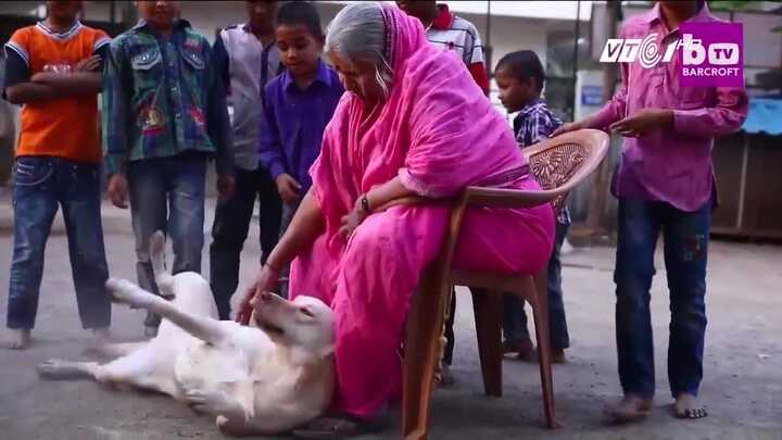 Cảm động chuyện mẹ xin ăn, đi hát kiếm tiền nuôi 1.400 con khôn lớn