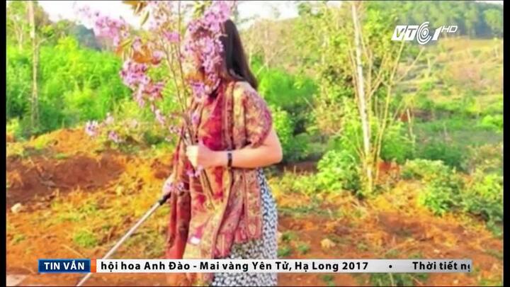 Clip: Phó giám đốc Sở Tư pháp Bình Thuận xin lỗi vụ bẻ hoa