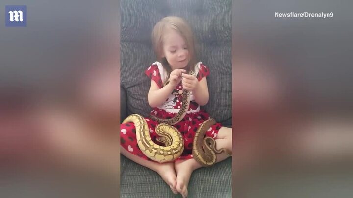 Bé gái 3 tuổi âu yếm vuốt ve đàn trăn