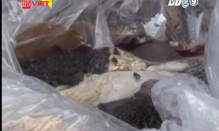 Bắt giữ hơn 2,5 tấn nội tạng động vật thối ngụy trang cực tinh vi