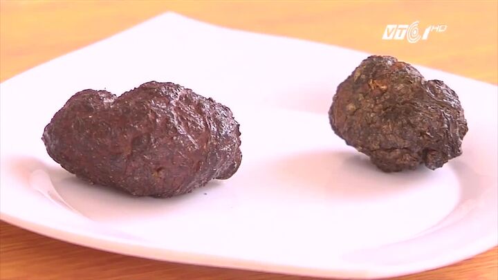 Mổ dê núi, phát hiện hai hòn nghi 'dương bảo' trị giá hàng trăm triệu đồng