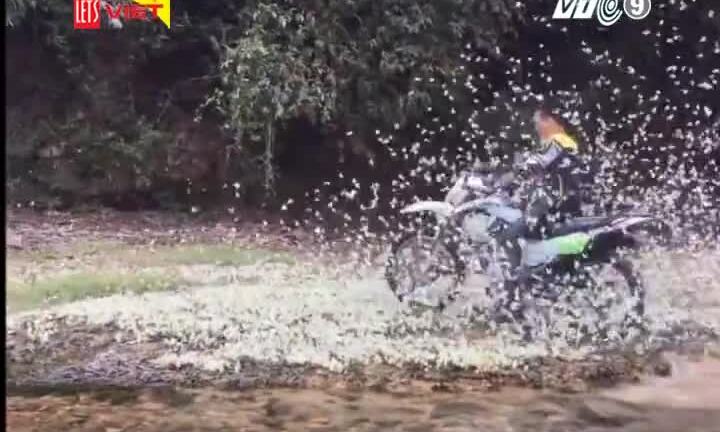 Phượt thủ phi mô tô giày xéo hàng nghìn con bướm bị dân mạng 'ném đá'