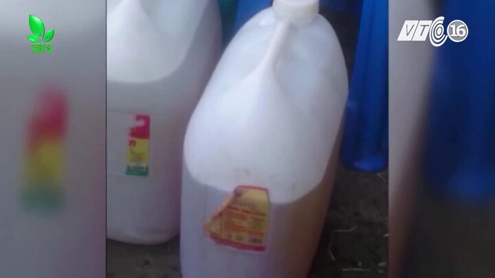 Giật mình dầu ăn rẻ như nước lã tràn lan trên thị trường