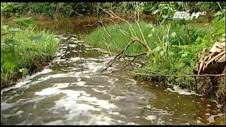 Vạch trần thủ đoạn xả thải bất chấp lệnh cấm của doanh nghiệp Hàn Quốc tại Phú Thọ