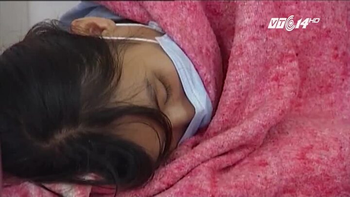 Việt Nam: 8 người chết vì bị muỗi đốt