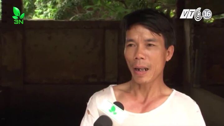 Sau giá thịt lợn chạm đáy, người chăn nuôi còn lại gì?