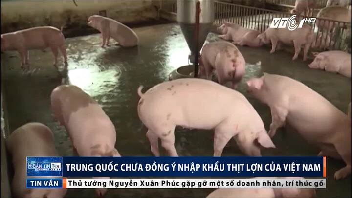 Trung Quốc chưa đồng ý nhập khẩu thịt lợn Việt Nam
