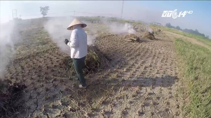 Trước khi đốt rơm rạ sau thu hoạch, nông dân phải biết thông tin này