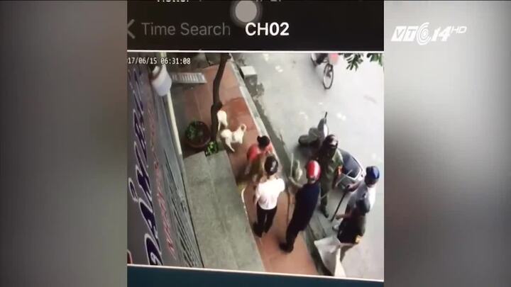 Cán bộ phường có quyền bắt chó trước cửa nhà dân?