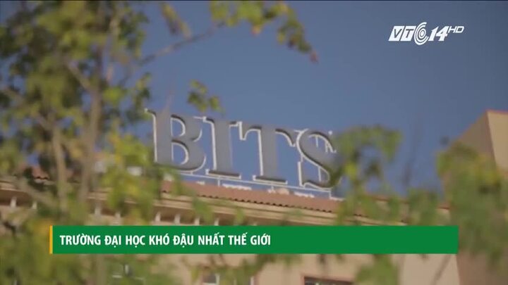 Trường đại học khó đậu nhất thế giới, Harvard cũng thua xa