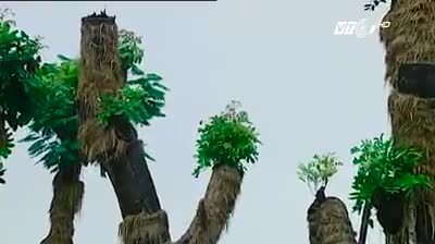 Hà Nội chọn phát triển đô thị 'xanh' hay 'xám'?