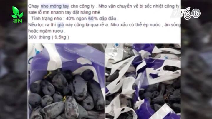 Sự thật hãi hùng nho nhập khẩu 'sốc nhiệt' siêu rẻ bán tràn lan trên mạng