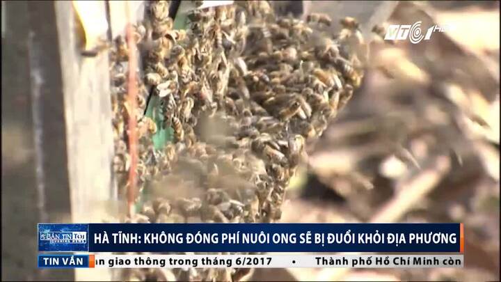 Hà Tĩnh: Không đóng phí nuôi ong sẽ bị đuổi khỏi địa phương