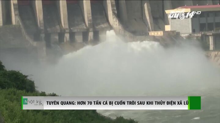 Thủy điện xả lũ, hơn 70 tấn cá của dân bị cuốn trôi