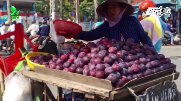 Mận Trung Quốc 'đội lốt' mận Sapa bán ngập phố Hà Nội