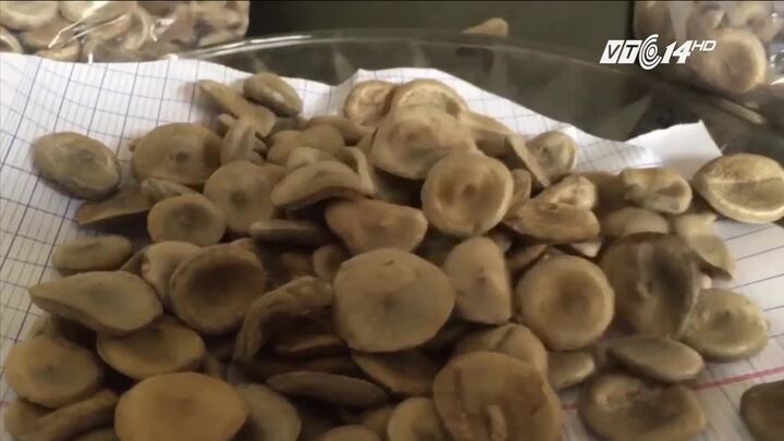 Uống nhầm rượu xoa bóp, 1 người chết, 1 người nguy kịch