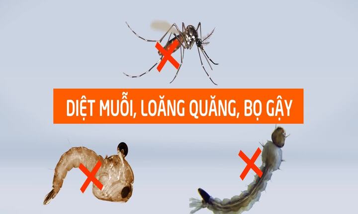 Sốt xuất huyết hoành hành khắp cả nước vì những nguyên nhân này