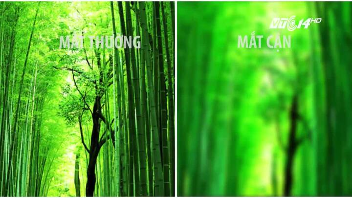 Không đeo kính, người cận thị nhìn thấy gì?