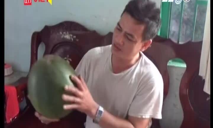 Kinh hãi dưa hấu để hơn nửa năm không hỏng ở TP.HCM