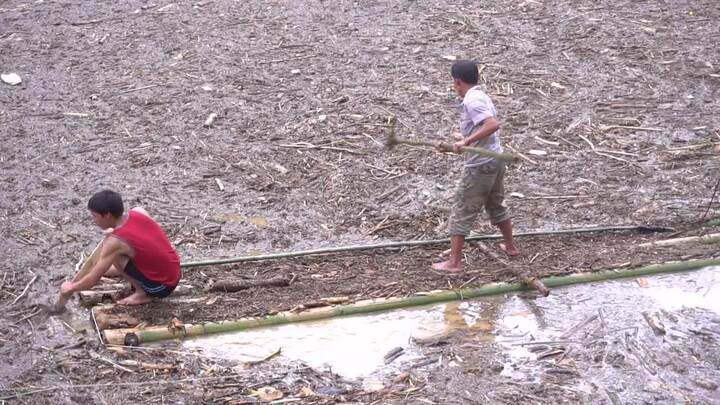 Video: Kinh hãi cảnh người dân Mù Cang Chải liều mình vớt củi trong lũ dữ
