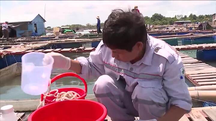 Video: Kinh hãi chất lạ nổi lềnh phềnh trên sông Chà Và