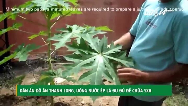 Huế: Cách ly kịp thời 4 ca mắc sốt xuất huyết từ Hà Nội