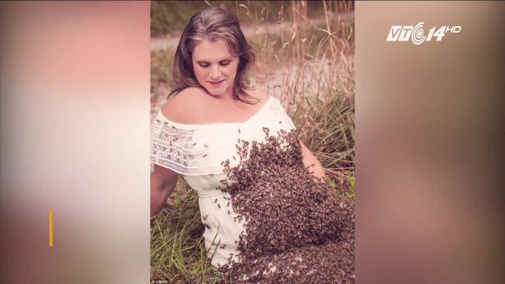 Vì bức ảnh đẹp, bà bầu cho 20.000 con ong bu kín bụng