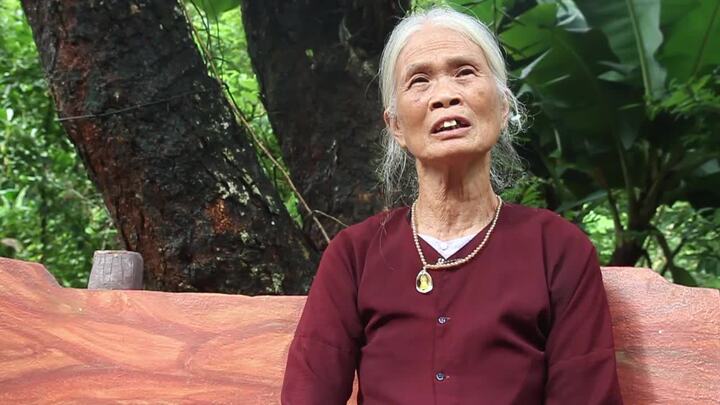 Bà lão ở Vĩnh Phúc dành hơn 5 ha đất làm nơi trú ngụ cho hàng ngàn con cò