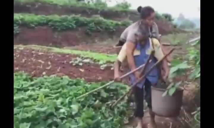 Video: Cảm động chồng mù cõng vợ còi xương đi làm gần 30 năm