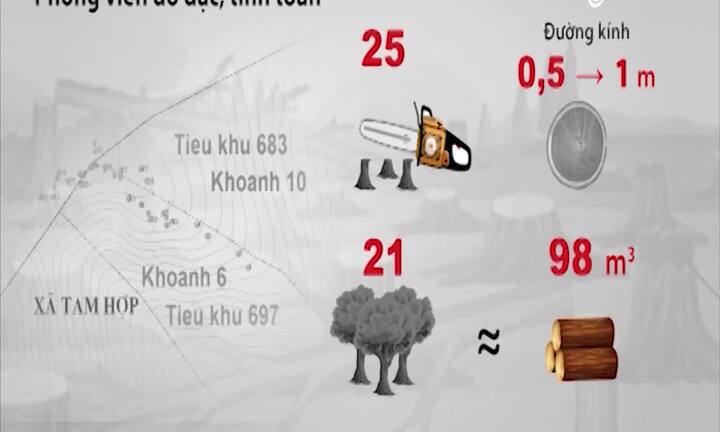 Hàng loạt cây Pơ mu ở Nghệ An bị tàn phá: Bất thường từ các báo cáo