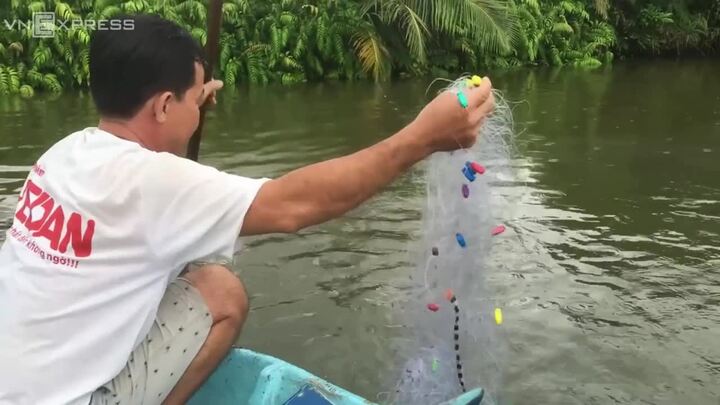 Xem người miền Tây bắt hàng trăm con cá rô phi bằng 1 cái sào
