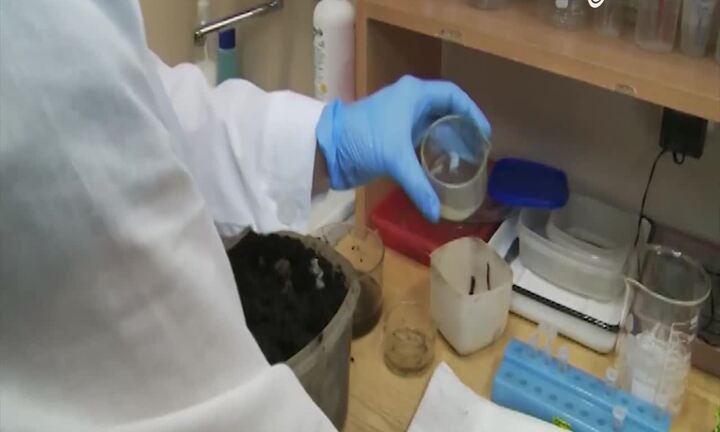 Phát minh mới dùng giun đất chữa ung thư phổi