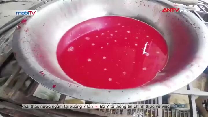 Chuyện đáng sợ ít người biết ở làng thịt chó lớn nhất Thủ đô