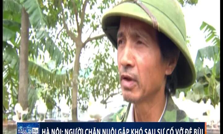 Video: Sau 2 tuần vỡ đê Bùi, dân vẫn vật lộn sống chung với nước lũ