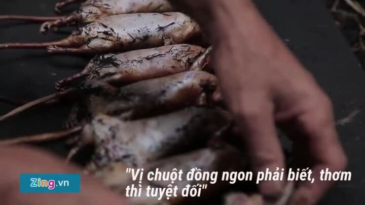 Mùa ăn đặc sản thịt chuột của làng Dị Nậu