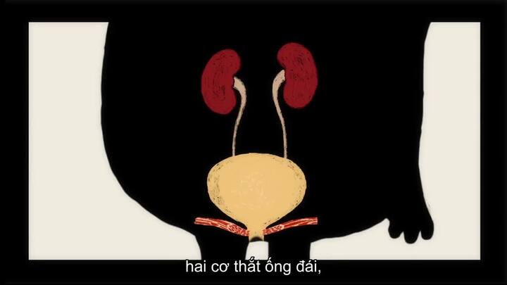 Nhịn tiểu có hại hay không?