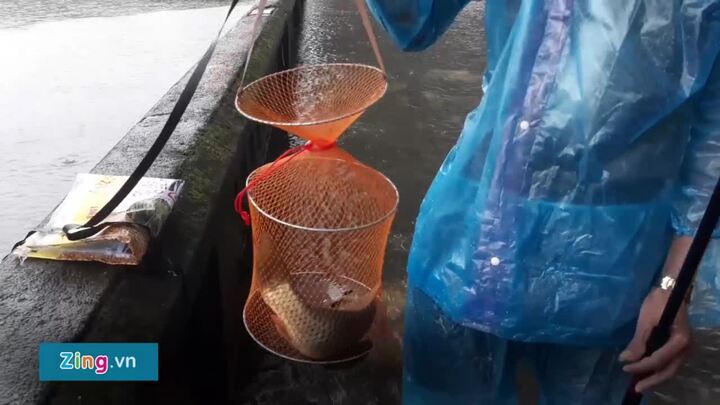 Video: Xem người dân giăng lưới, câu cá quanh kinh thành Huế sau mưa lớn