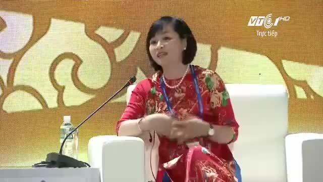 Video: CEO Vingroup phát biểu tại APEC 2017