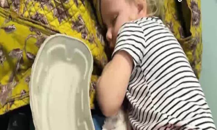 Bị mèo cào khi đang chơi đùa, bé 3 tuổi suýt mất mạng