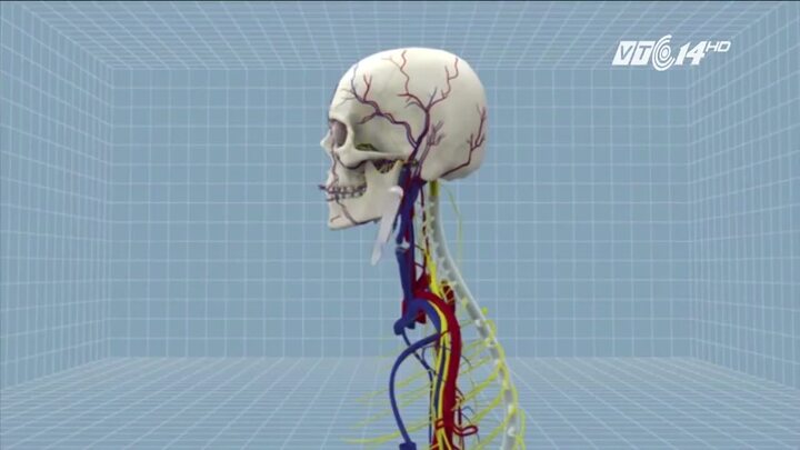 Trung Quốc không cho phép thực hiện phẫu thuật ghép đầu người