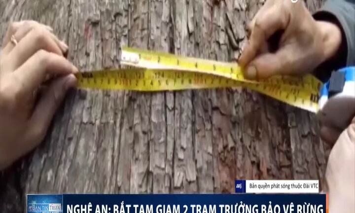 Clip: Bắt 2 trạm trưởng kiểm lâm phá rừng ở Nghệ An