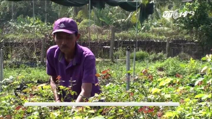 Đến Đồng Tháp gặp 'phù thủy' làng hoa Sa Đéc