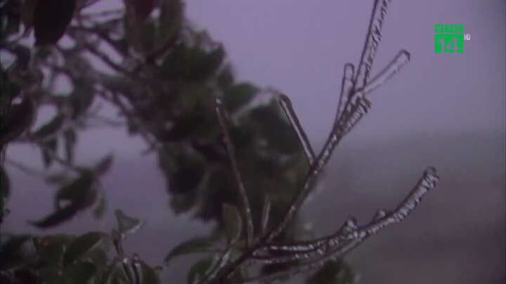 Du khách phấn khích ngắm băng giá trên đèo Ô Quý Hồ, Lào Cai