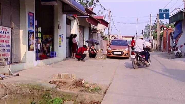 Từ 15/1, hủy hoại cây xanh sẽ bị phạt nặng