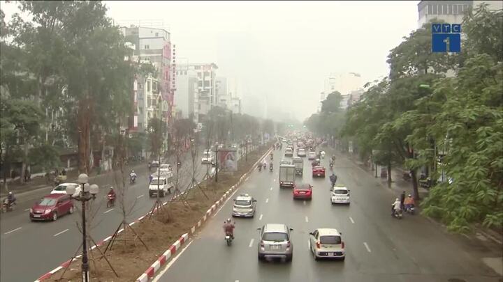 Cây phong đỏ có tồn tại được ở đất thủ đô?