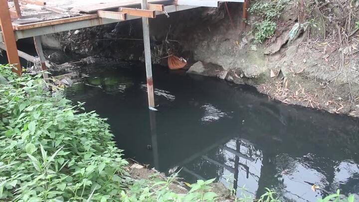 Doanh nghiệp 'đầu độc' kênh xanh, chính quyền loay hoay xử lý