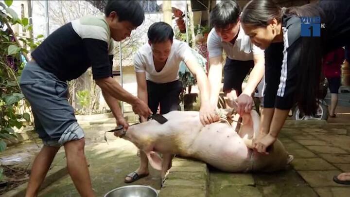 Gia đình tuyển thủ U23 VN nấu lẩu, mổ lợn khao hàng xóm